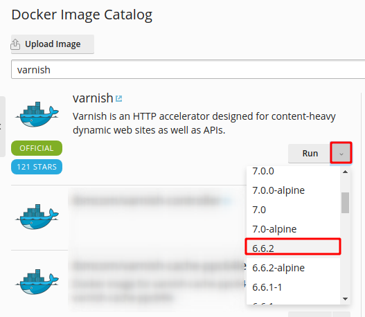 Plesk blog Varnish on Docker